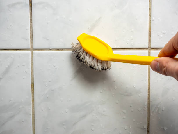 Best Localized Mold Remediation (e.g., coastal areas, humid climates) in Boley, OK