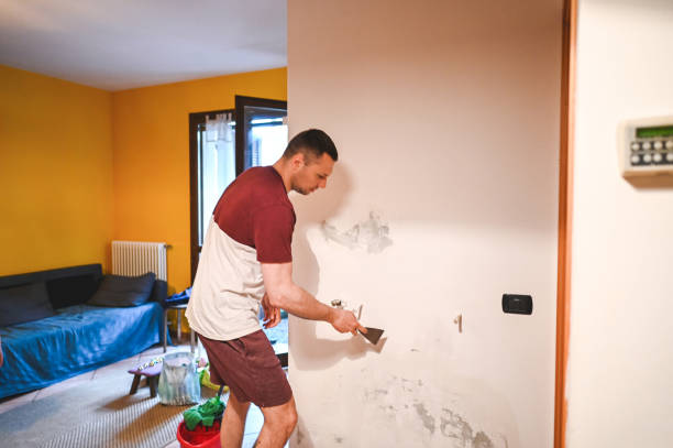 Best Mold Remediation for Schools in Boley, OK