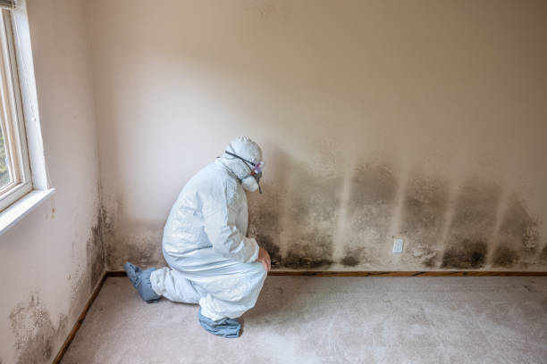 Best Post-Remediation Services in Boley, OK