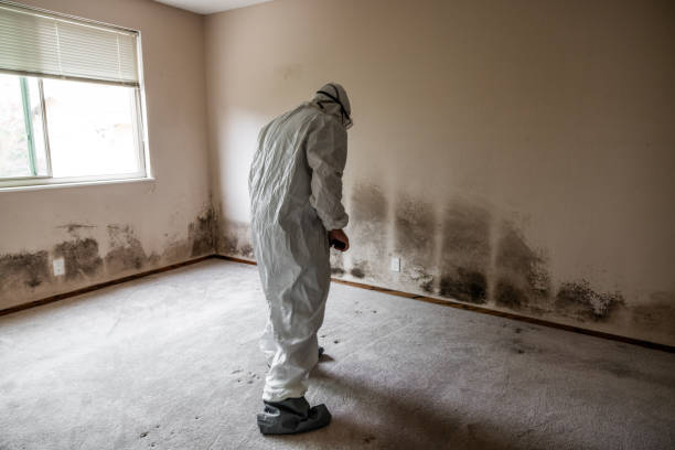 Best Post-Flood Mold Remediation in Boley, OK