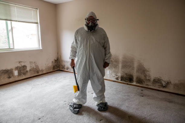 Best Residential Mold Remediation in Boley, OK